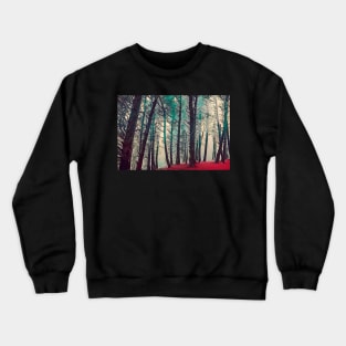 Killiney Hill Crewneck Sweatshirt